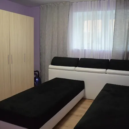 Vlada *